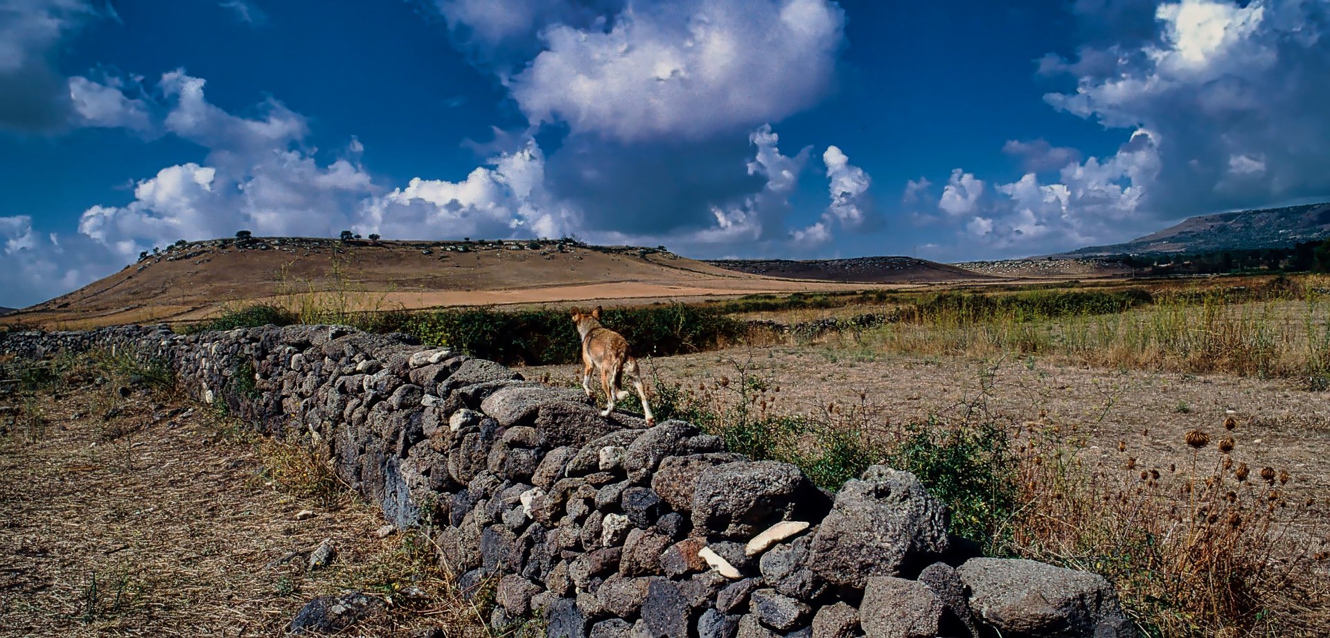 La passeggiata - 1990
