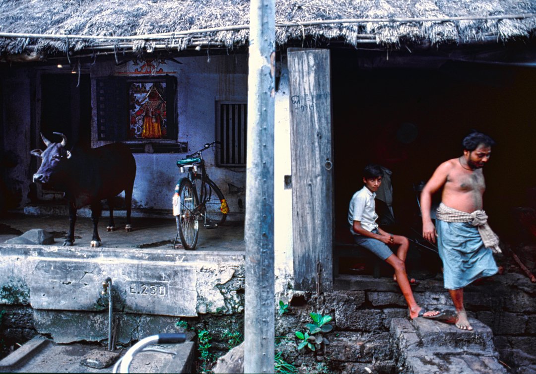 Interno indiano 1990