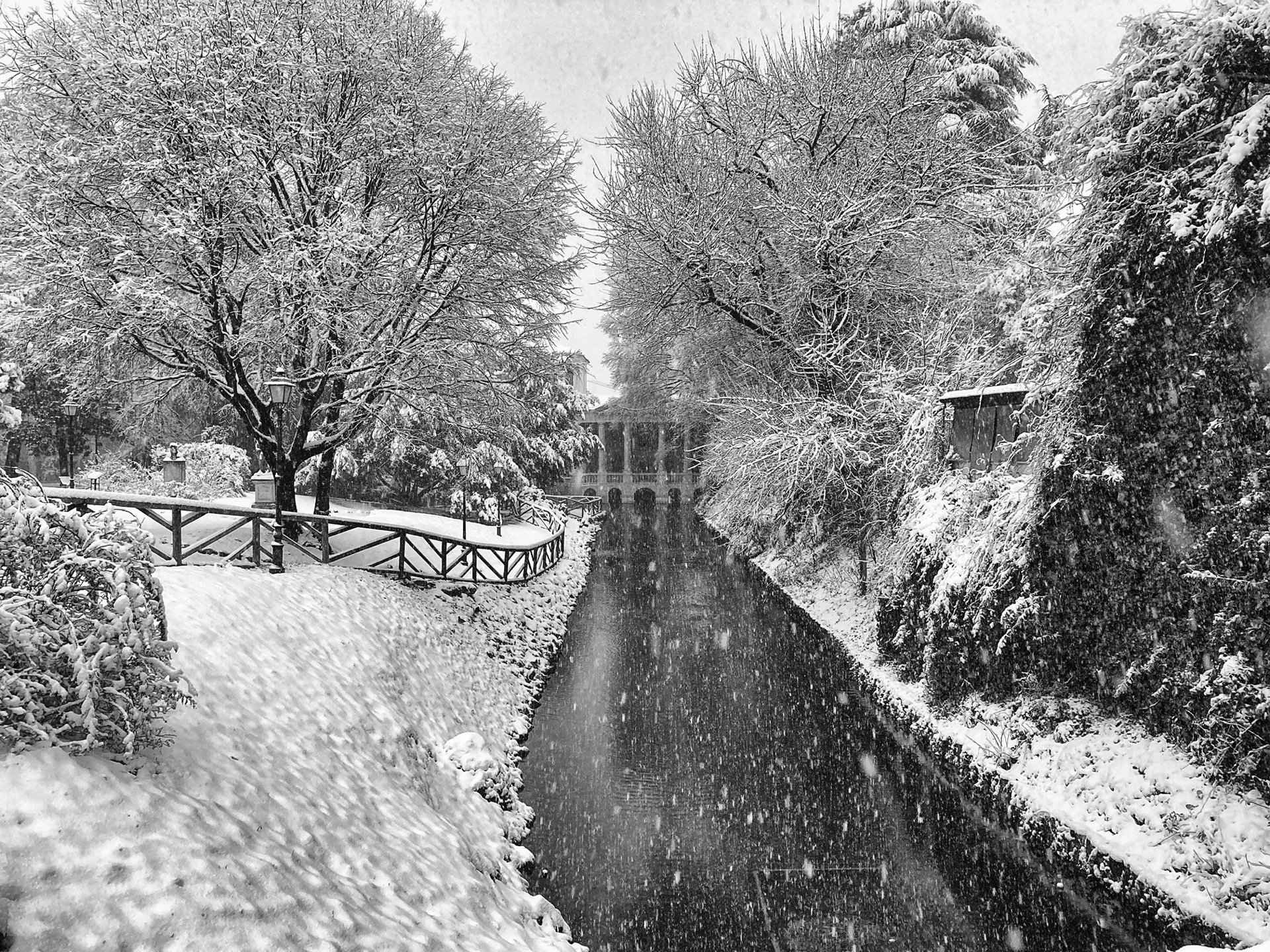Neve a Vicenza 2020 #2