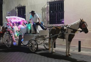 Turiste annoiate