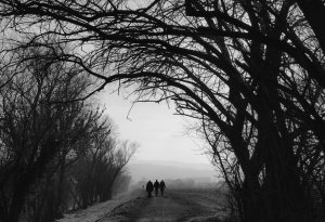 Verso la nebbia