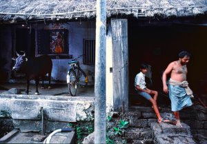 Interno indiano 1990