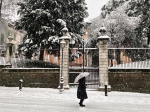 Neve a Vicenza 2020 #1
