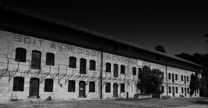 Cavalleria