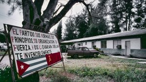 El Partido 1981